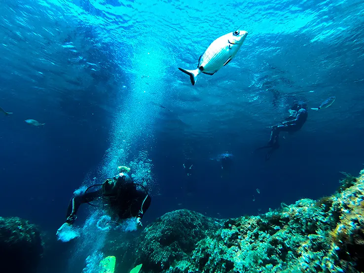 Scuba diving in Mallorca